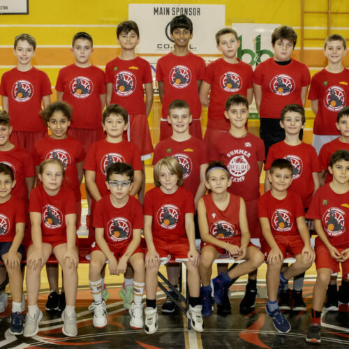 Riparte il minibasket