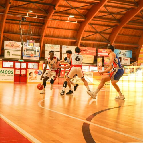 Cogal ok con un ottimo 2° quarto!